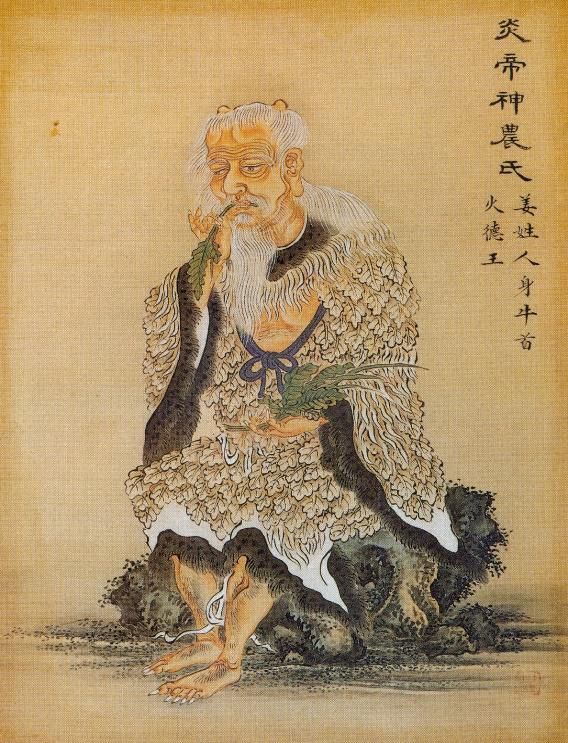 Medicinal history