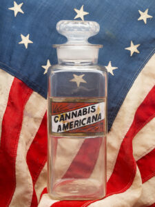 Cannabis Americana